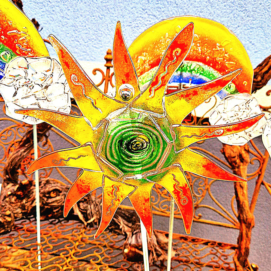 IMG-20250519-WA0060_web